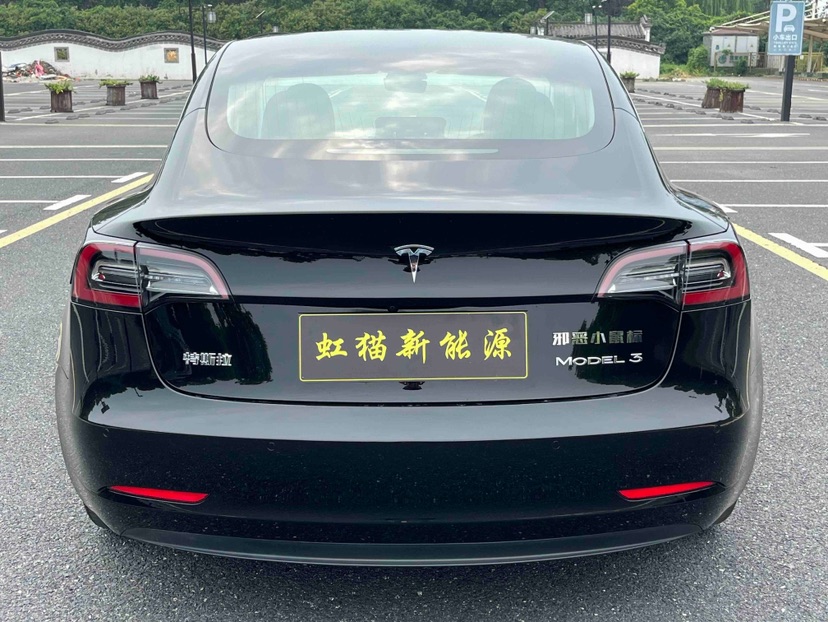 Tesla Model 3 2020 car image #9