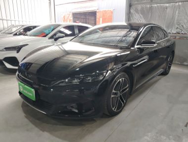 BYD Han 2023 imagen de coche 