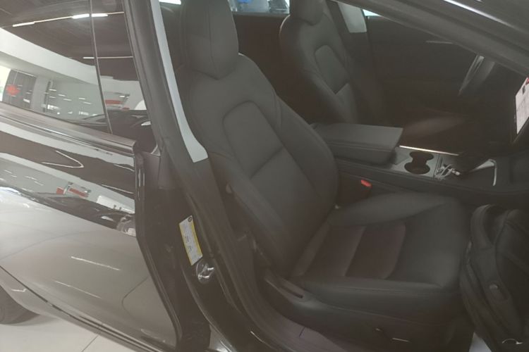 Tesla Model 3 2021 #24 Tesla Model 3 2021 car image #24