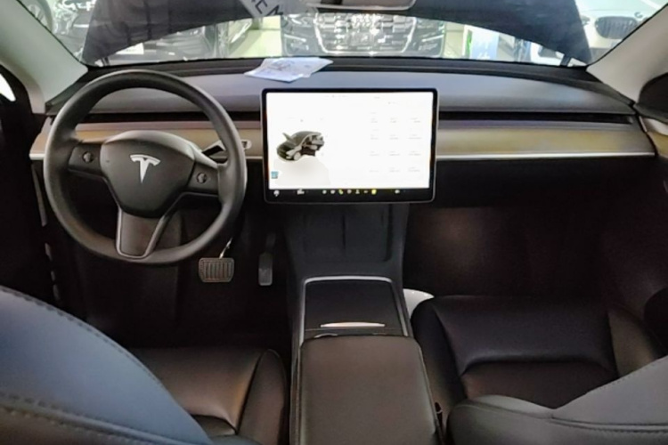 Tesla Model Y 2023 car image #10