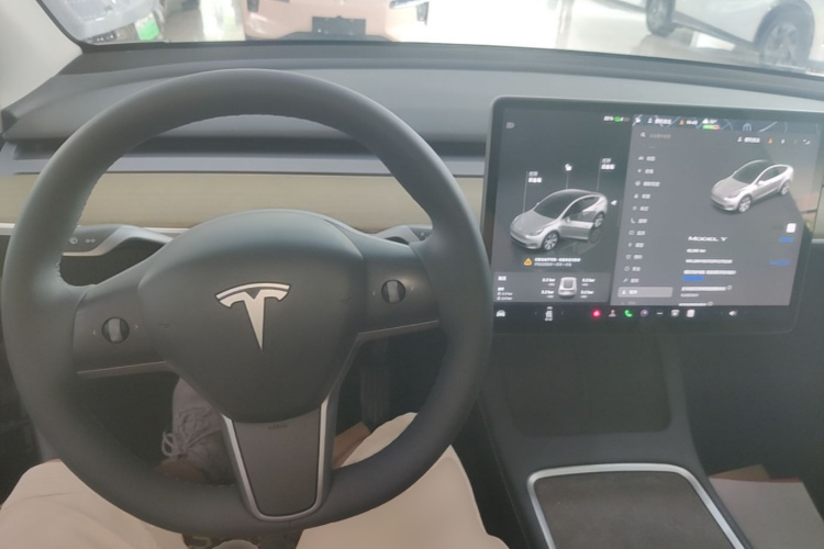 Tesla Model Y 2023 car image #10