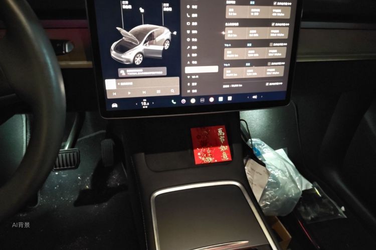Tesla Model Y 2021 car image #15