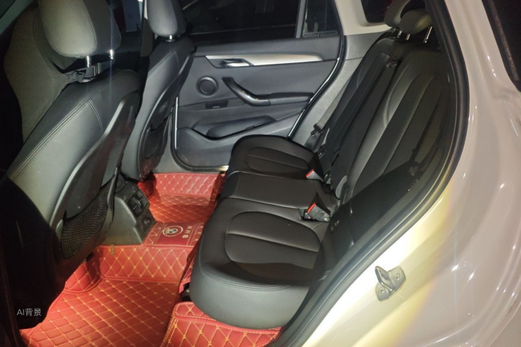 BMW X1 2016 car image #19
