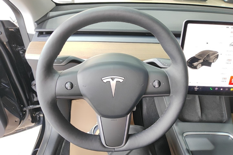 Tesla Model Y 2021 immagine di auto #11