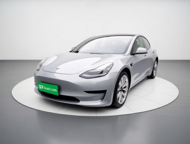 Tesla Model 3 2020 Tesla Model 3 2020 car image