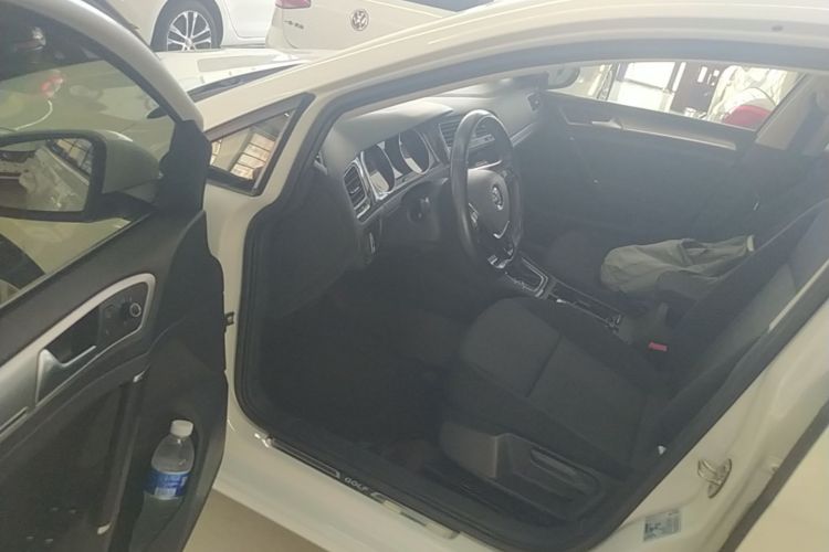 Volkswagen Golf 2019 car image #16