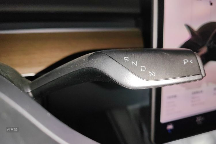 Tesla Model Y 2022 car image #16