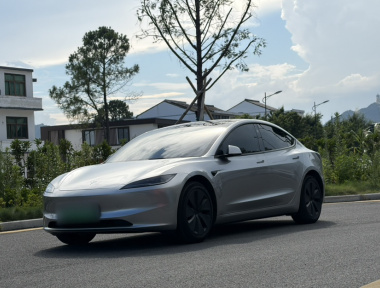 Tesla Model 3 2024 Tesla Model 3 2024 car image