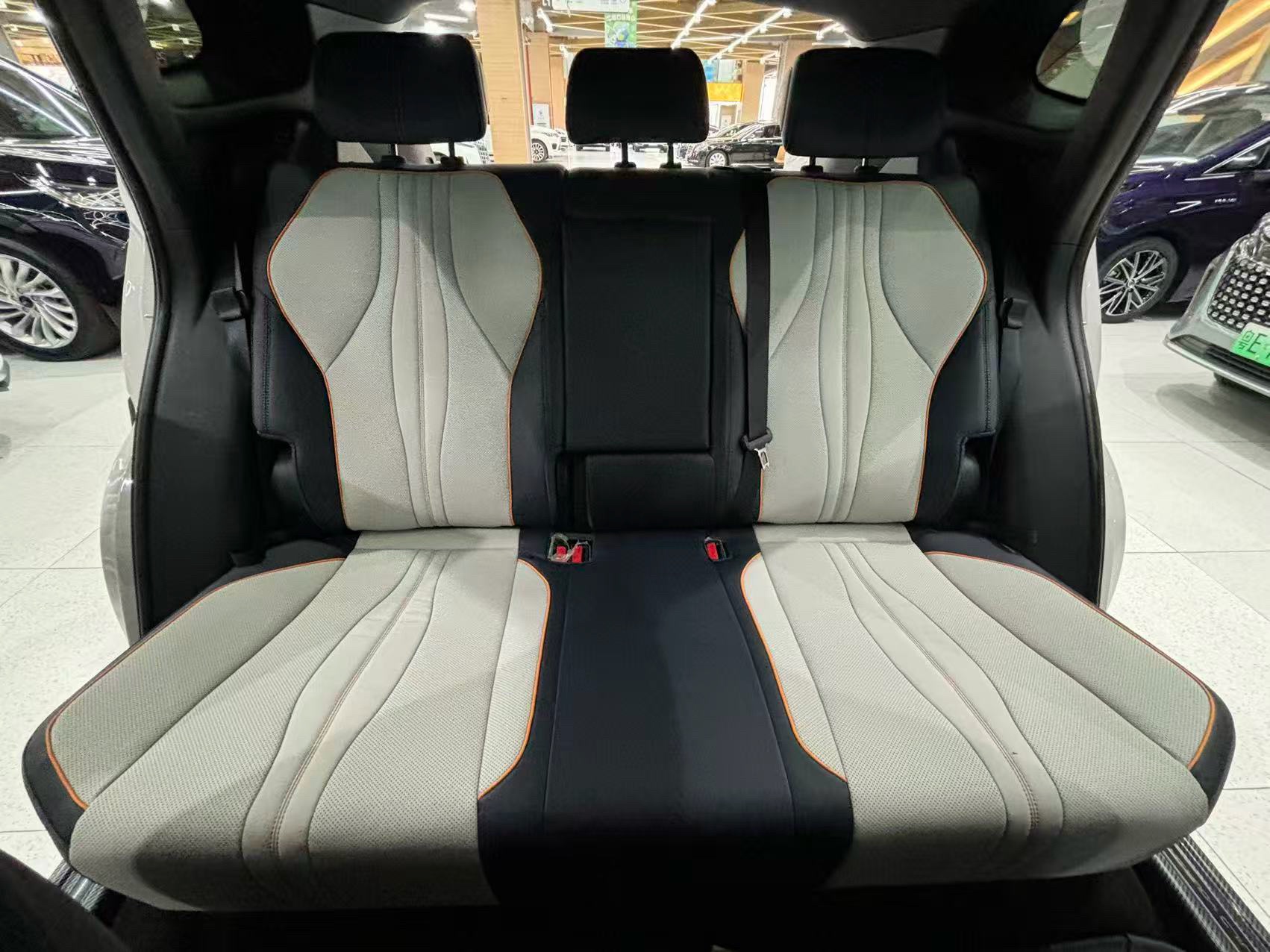 BYD Song Plus New Energy 2024 car image #12