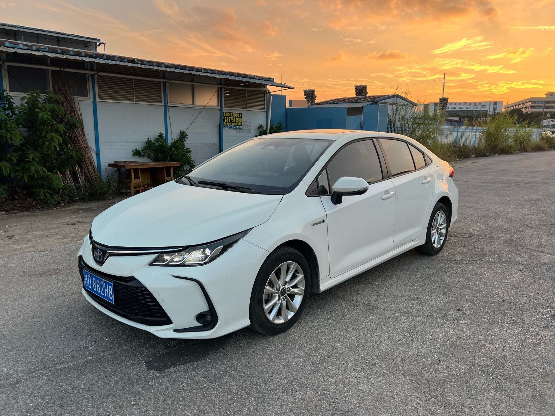 Toyota Corolla 2024 Toyota Corolla 2024 car image