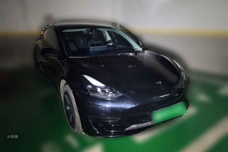 Tesla Model 3 2021 #4 Tesla Model 3 2021 car image #4