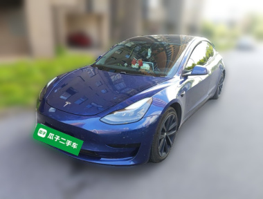 Tesla Model 3 2021 Tesla Model 3 2021 car image