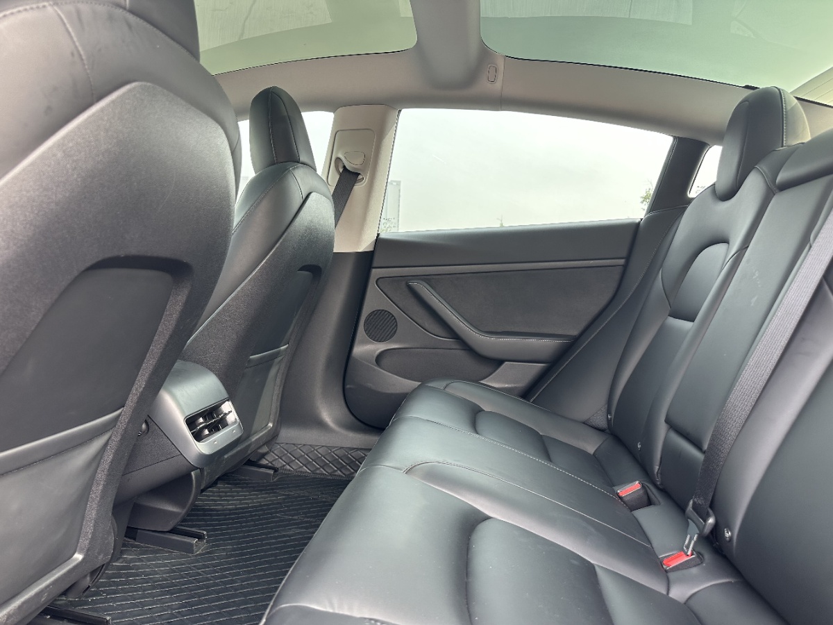 Tesla Model 3 2023 car image #4