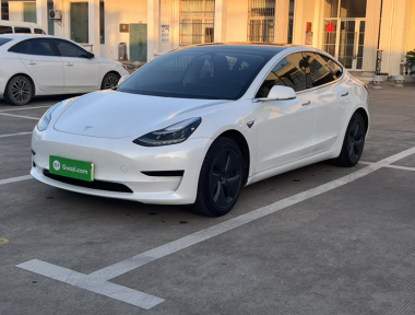 Tesla Model 3 2020 Tesla Model 3 2020 car image