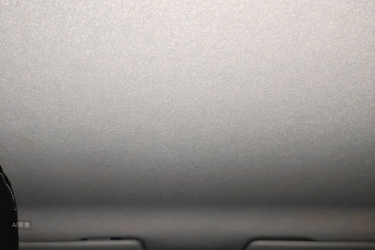 Volkswagen Santana 2022 car image #20