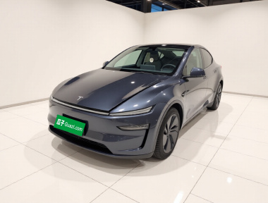 Tesla Model Y 2025 Tesla Model Y 2025 car image