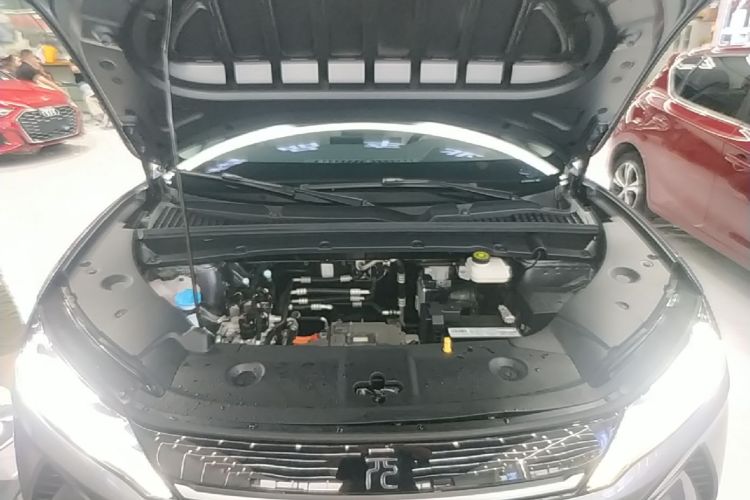 BYD YuanUP 2024 car image #20