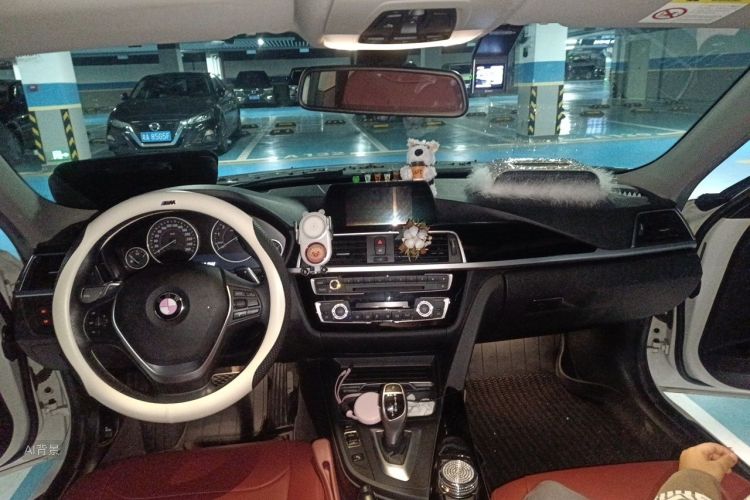 BMW 3 Series 2017 car image #20