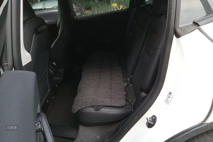 Tesla Model Y 2021 car image #19