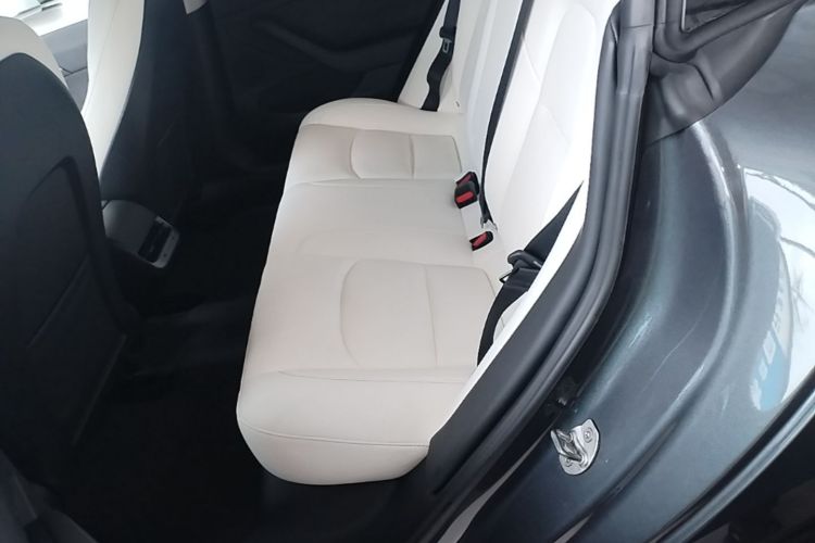 Tesla Model 3 2021 #17 Tesla Model 3 2021 immagine di auto #17