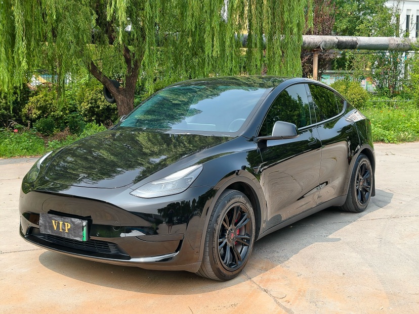 Tesla Model Y 2022 Tesla Model Y 2022 car image