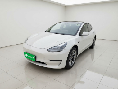 Tesla Model 3 2023 car image 