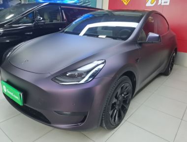 Tesla Model Y 2023 car image 