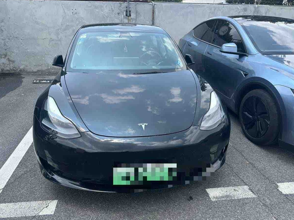 Tesla Model 3 2021 #2 Tesla Model 3 2021 car image #2