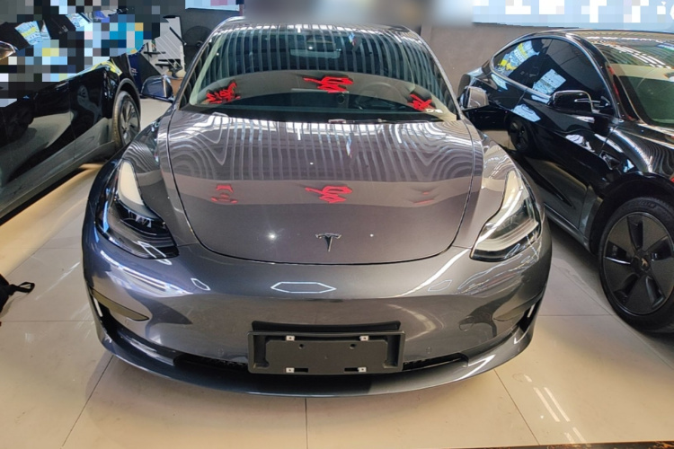 Tesla Model 3 2022 #3 Tesla Model 3 2022 car image #3