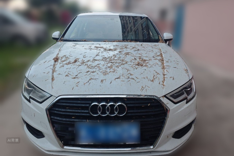 Audi A3 2017 car image #3