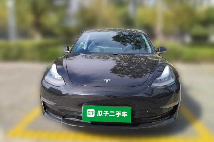 Tesla Model 3 2020 car image #3