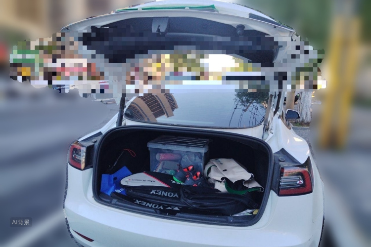Tesla Model 3 2021 #21 Tesla Model 3 2021 car image #21