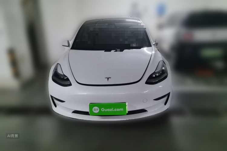 Tesla Model 3 2020 car image #3