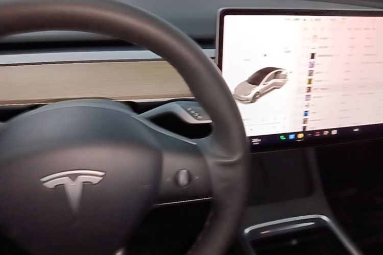Tesla Model 3 2021 car image #14
