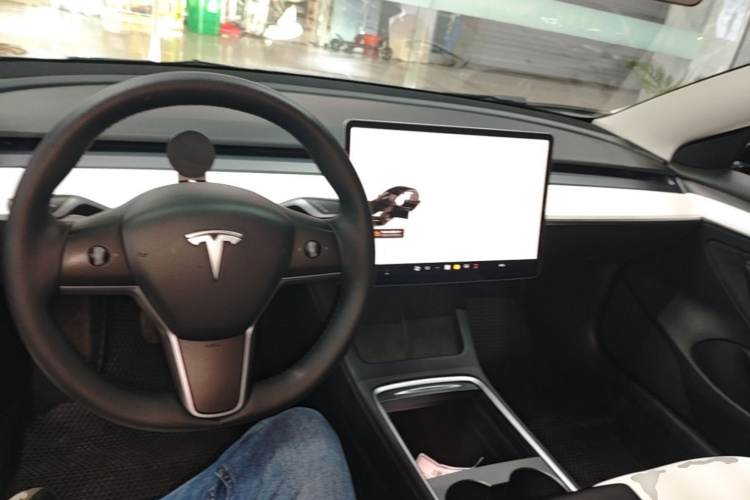 Tesla Model 3 2022 car image #10