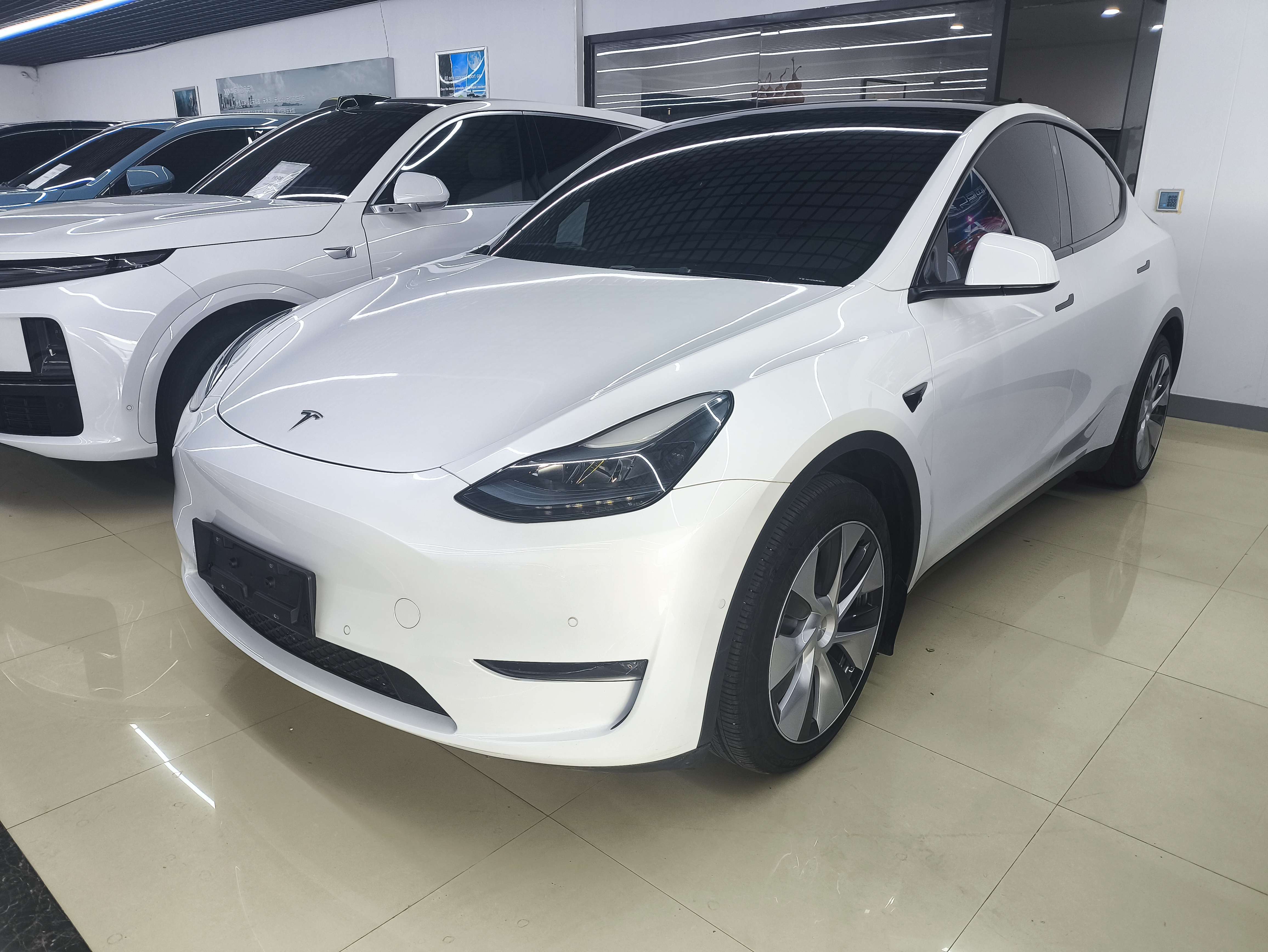 Tesla Model Y 2023 Tesla Model Y 2023 car image