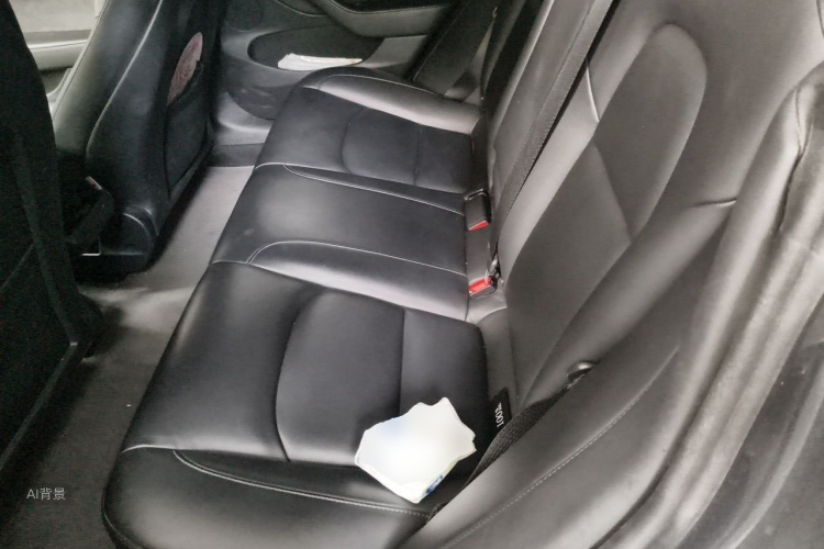 Tesla Model 3 2021 car image #19
