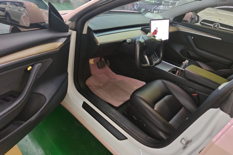 Tesla Model 3 2021 car image #12