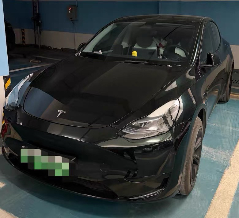 Tesla Model Y 2024 car image 
