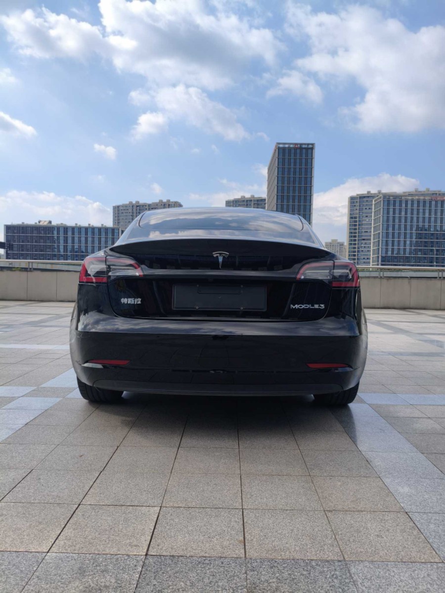 Tesla Model 3 2022 #8 Tesla Model 3 2022 car image #8