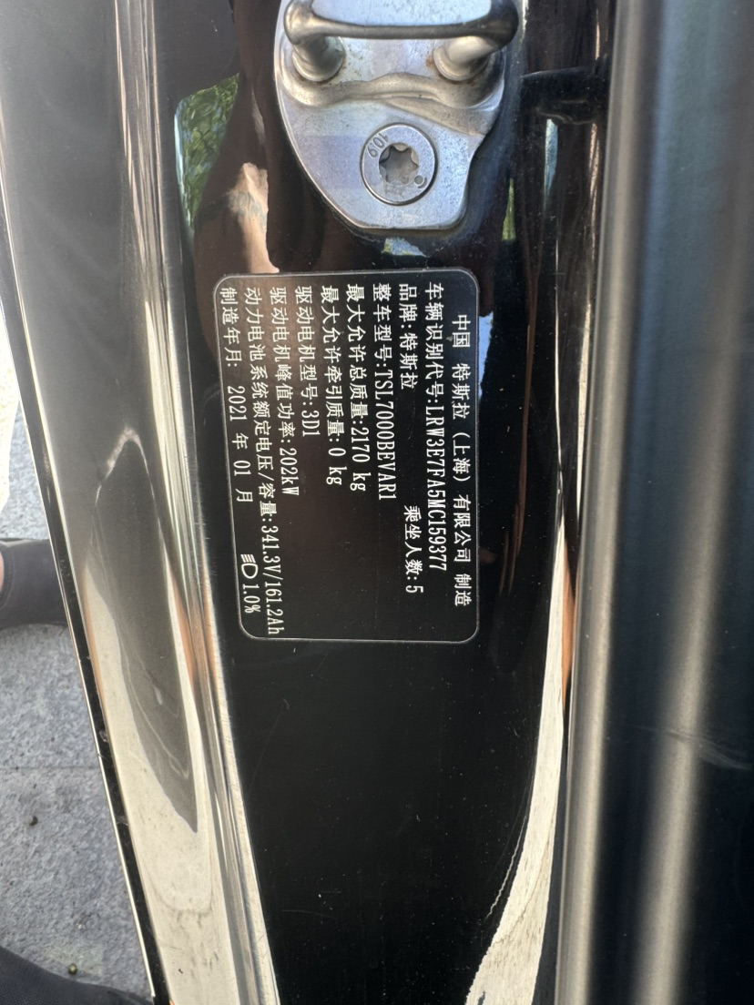 Tesla Model 3 2021 car image #10