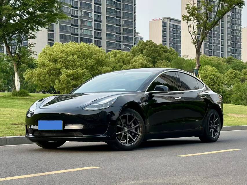Tesla Model 3 2020 Tesla Model 3 2020 car image