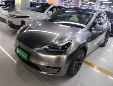 Tesla Model Y 2023 car image 