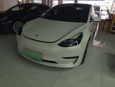 Tesla Model 3 2023 Tesla Model 3 2023 car image