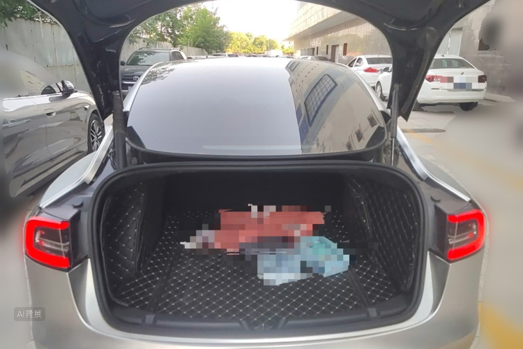 Tesla Model 3 2021 car image #21