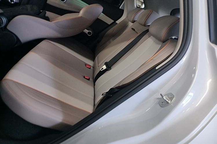 BYD Yuan Plus 2023 car image #17