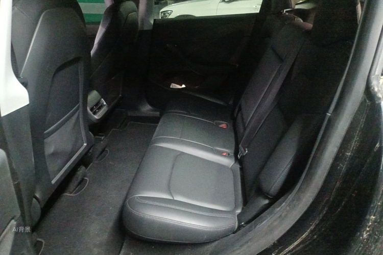 Tesla Model Y 2021 car image #19
