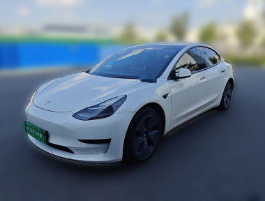 Tesla Model 3 2021 Tesla Model 3 2021 car image
