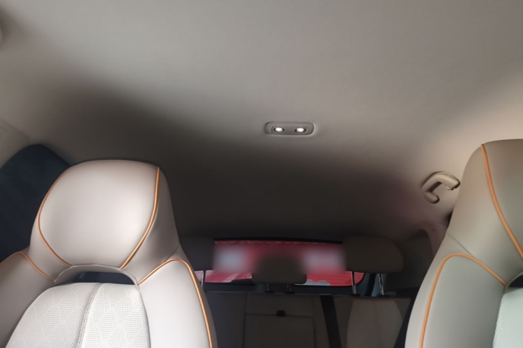 BYD Yuan Plus 2023 car image #20