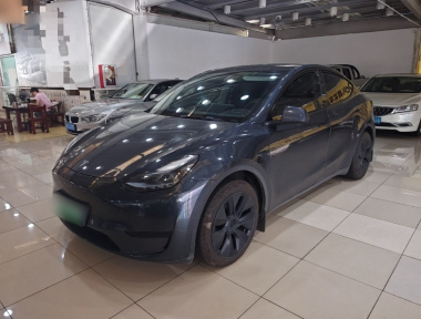Tesla Model Y 2024 Tesla Model Y 2024 car image